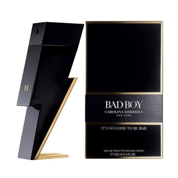 Bad boy - Imagen 2
